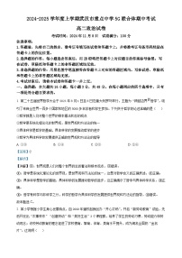湖北省武汉市重点中学5G联合体2024-2025学年高二上学期期中考试政治试卷（Word版附解析）