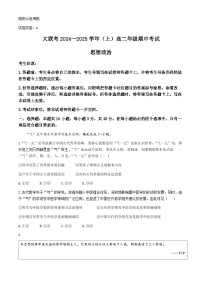 河南省部分学校大联考2024-2025学年高二上学期11月期中考试政治试题