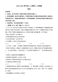 河南省安阳市林州市第一中学2024-2025学年高二上学期11月月政治试卷（Word版附解析）