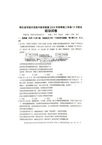 2024～2025学年湖北省市级示范高中智学联盟高三(上)12月月考政治试卷(含解析)