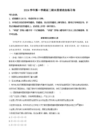 2025上海奉贤区高三上学期一模政治试题含解析