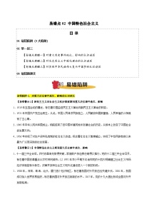 易错点02 中国特色社会主义 3大陷阱 举一反三 易错题通关-备战2025年高考政治考试易错题（新高考通用）