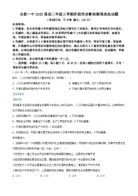 2025十联考合肥一中等校高三上学期阶段性诊断检测试题政治含解析