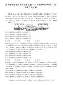 湖北省市级示范高中智学联盟2024-2025学年高三上学期12月月考 政治试题