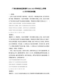 2024~2025学年广西壮族自治区贵港市高三上学期12月月考政治试卷（解析版）