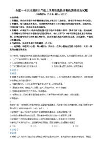 2025合肥一中高三上学期12月阶段性诊断检测政治试题含解析