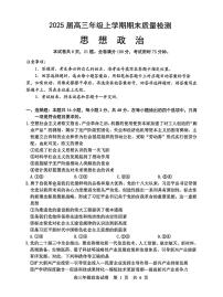 湖北省武汉市武昌区2025届高三上学期期末质量检测-政治试卷+答案