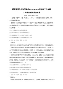 2024-2025学年新疆维吾尔自治区喀什市高三上学期12月模拟测试政治试卷（解析版）