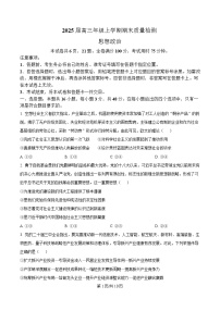 湖北省武汉市武昌区2024-2025学年高三上学期期末政治试卷（Word版附答案）