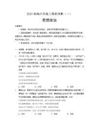 政治-2025届广东省梅州市高三下学期总复习质检试卷【含答案】
