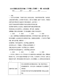 2025届湖北省武汉市高三下学期2月调研（一模）政治试题