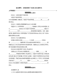 高中政治 (道德与法治)人教统编版必修3 政治与法治综合探究 在党的领导下实现人民当家作主教案