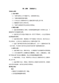 高中政治 (道德与法治)人教统编版选择性必修1 当代国际政治与经济国家是什么教案
