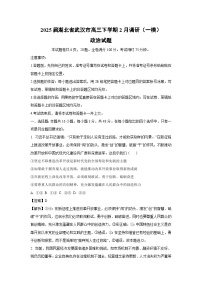 2025届湖北省武汉市高三下学期2月调研（一模）政治试卷（解析版）