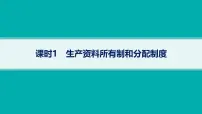 备战2025年高考二轮复习课件 政治（山东版）大单元2 我国的基本经济制度 课时1 生产资料所有制和分配制度