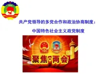 人教版 (新课标)必修2 政治生活中国特色社会主义政党制度示范课ppt课件