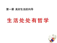 人教版 (新课标)必修4 生活与哲学生活处处有哲学教学课件ppt