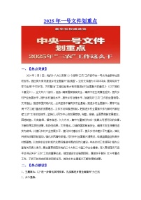 时政1：“2025年一号”文件划重点-2025年高考政治时政热点专题讲练（新高考通用）