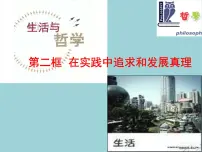 高中政治 (道德与法治)人教版 (新课标)必修4 生活与哲学在实践中追求和发展真理授课ppt课件