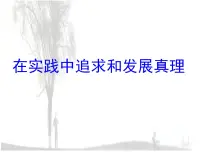 人教版 (新课标)必修4 生活与哲学在实践中追求和发展真理课文内容课件ppt