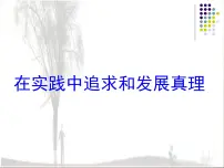 高中政治 (道德与法治)人教版 (新课标)必修4 生活与哲学在实践中追求和发展真理课文内容ppt课件
