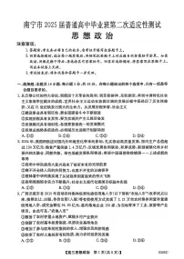 广西南宁市2025届高三高考模拟第二次适应性测试-政治试题+答案