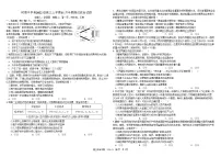 2025届四川省成都市树德中学高三11月半期考-政治试题（含答案）