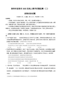 湖南省岳阳市2025届高三下学期二模试题 政治 含解析
