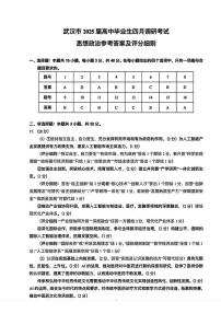 政治丨湖北省武汉市2025届高三下学期4月调研考试（武汉四调）政治试卷及答案