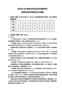 政治丨湖北省武汉市2025届高三下学期4月调研考试（武汉四调）政治试卷及答案