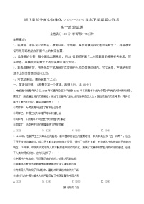 湖北省部分高中协作体2024-2025学年高一下学期4月期中联考政治试卷（Word版附解析）