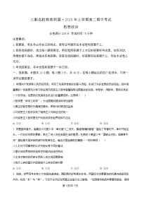 湖南省三湘名校教育联盟2024-2025学年高二下学期期中考试政治试卷（Word版附解析）