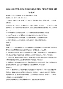 2024-2025学年湖北省咸宁市高二政治下学期6月期末考试模拟试题（附答案）