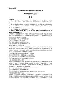 2025年青桐鸣高考模拟政治试题及答案
