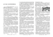 2025届河南省豫西名校高三下学期模拟测试政治试题（高考模拟）