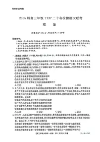 政治-河南省TOP二十名校2025届高考模拟猜题大联考试题及答案