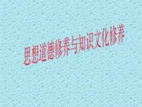 人教版 (新课标)必修3 文化生活加强思想道德建设教案配套课件ppt
