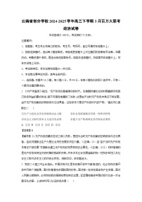 云南省部分学校2024-2025学年高三下学期3月百万大联考政治试卷（解析版）