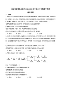 辽宁省县域重点高中2024-2025学年高二下学期期中考试政治试卷（Word版附答案）