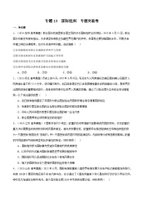 2025年高考政治一轮复习 专题突破卷13 国际组织（2份，原卷版+解析版）