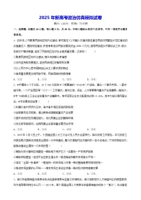 2025年新高考政治仿真模拟试卷（含答案+解析）
