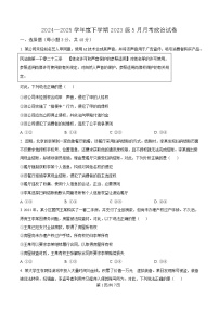 湖北省荆州市沙市中学2024-2025学年高二下学期5月月考政治试卷（Word版附解析）