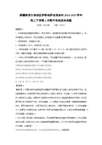 新疆维吾尔自治区伊犁哈萨克自治州2024-2025学年高二下学期4月期中考试政治政治试卷（解析版）