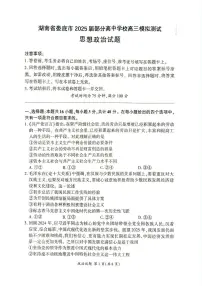 2025届湖南省娄底市部分高中学校高三下学期模拟测试政治试题（高考模拟）