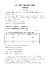 2025届湖北省武汉市华中师范大学第一附属中学高三下学期5月适应性检测政治试题（高考模拟）