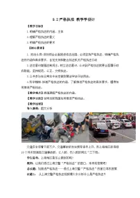 人教统编版必修3 政治与法治第三单元 全面依法治国第九课 全面依法治国的基本要求严格执法优质教学设计