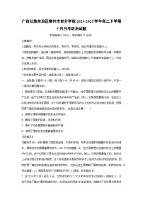 广西壮族自治区柳州市部分学校2024-2025学年高二下学期5月月考政治试卷（解析版）
