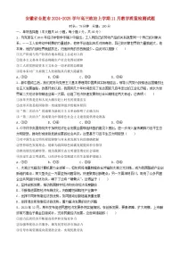安徽省合肥市2024_2025学年高三政治上学期11月教学质量检测试题含解析