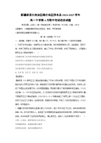 新疆维吾尔自治区喀什地区莎车县2024-2025学年高一下4月期中考试政治试卷（解析版）