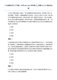 广东省梅州市兴宁市第一中学2024-2025学年高三上学期10月月考政治试题